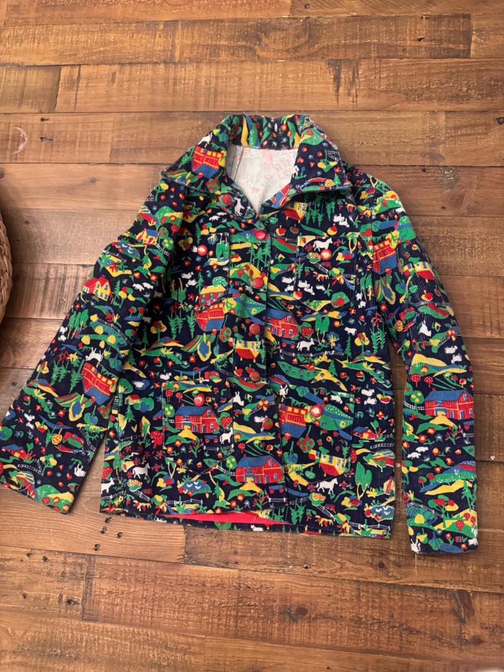 VINTAGE Kids PeaCoat in Multicolor Scenic Print